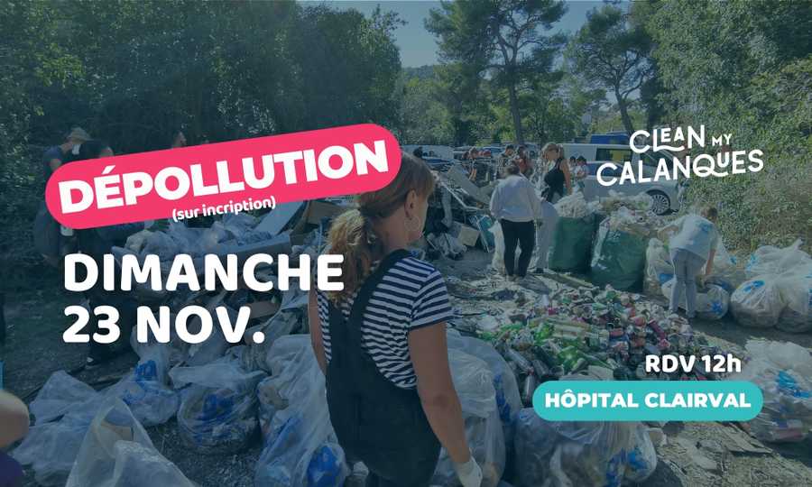 Image card Dépollution mensuelle