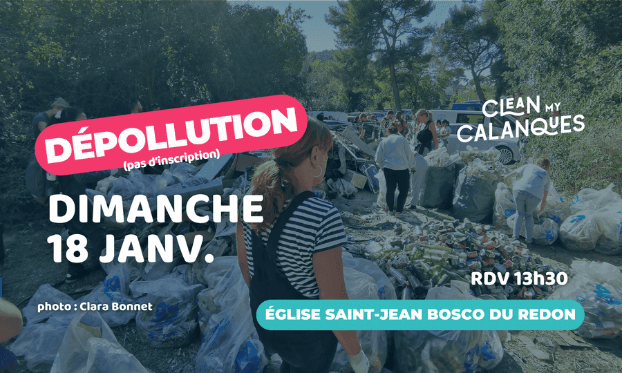 Image card Dépollution mensuelle