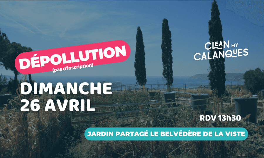 Image card Dépollution mensuelle