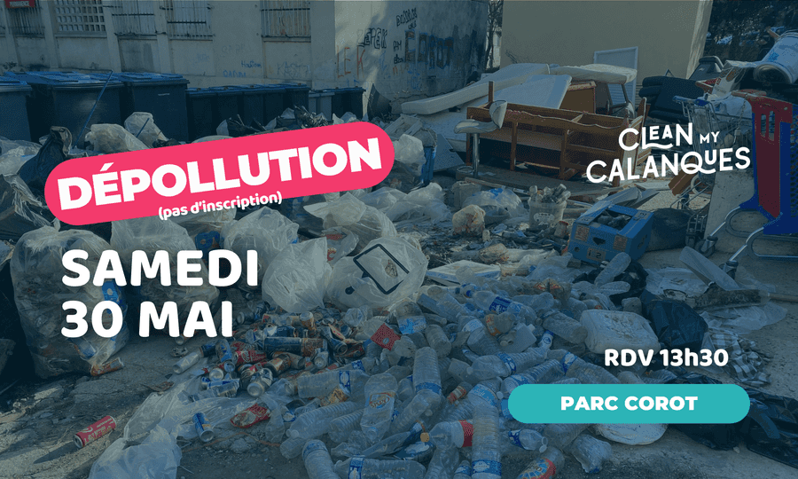 Image card Dépollution Parc Corot