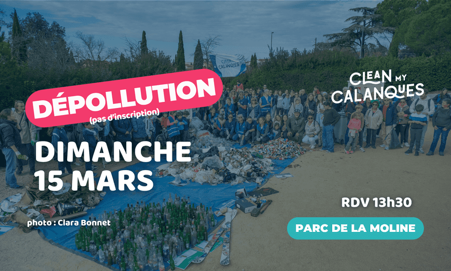 Image card Dépollution Parc de la Moline