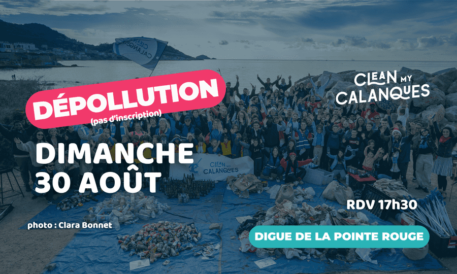 Image card Dépollution mensuelle